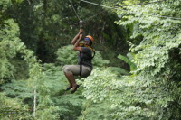 flight_of_the_gibbon_IMG_1607.jpg