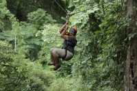 flight_of_the_gibbon_IMG_1609.jpg