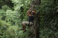 flight_of_the_gibbon_IMG_1610.jpg