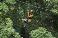 flight_of_the_gibbon_IMG_1615.jpg