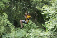flight_of_the_gibbon_IMG_1616.jpg