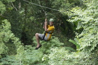 flight_of_the_gibbon_IMG_1617.jpg