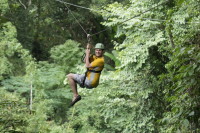 flight_of_the_gibbon_IMG_1618.jpg