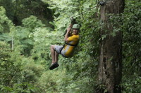 flight_of_the_gibbon_IMG_1620.jpg