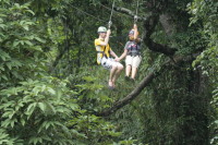flight_of_the_gibbon_IMG_1702.jpg