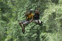 flight_of_the_gibbon_IMG_1708.jpg