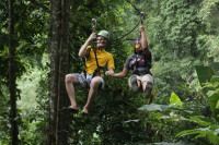 flight_of_the_gibbon_IMG_1711.jpg