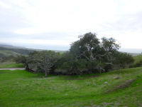 P1040766.jpg