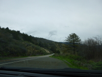 P1040815.jpg