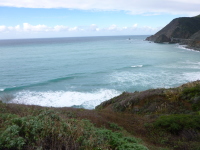 P1040824.jpg