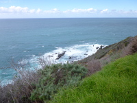 P1040834.jpg