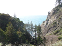 P1040897.jpg