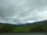 P1040733.jpg