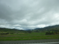 P1040735.jpg