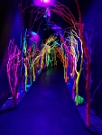 IMG_20161031_160044.jpg