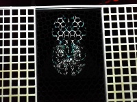 IMG_20161031_160543.jpg