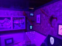 IMG_20161031_161226.jpg