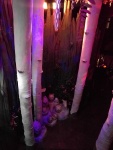 IMG_20161031_162546.jpg