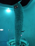 IMG_20161031_170552.jpg