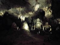 IMG_20161105_131951.jpg