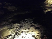 IMG_20161105_134437.jpg