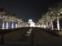 P1050016.jpg