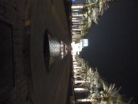 P1050019.jpg