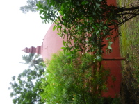 P1050201.jpg