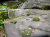 P1050202.jpg