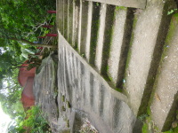 P1050203.jpg