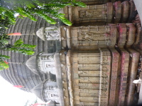P1050213.jpg