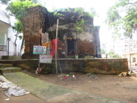 P1050216.jpg