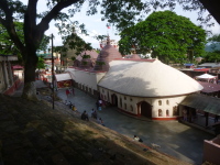 P1050217.jpg