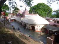 P1050218.jpg
