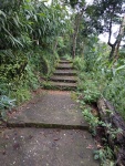 IMG_20160714_180901.jpg