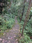 IMG_20160714_181241.jpg