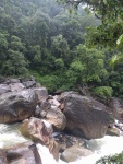IMG_20160715_073948.jpg