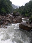 IMG_20160715_074332.jpg