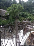 IMG_20160715_074510.jpg