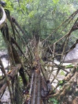 IMG_20160715_081659.jpg