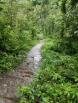 IMG_20160715_084023.jpg