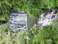 P1050033.jpg