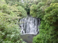 P1050034.jpg