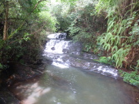 P1050035.jpg