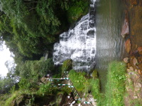 P1050036.jpg