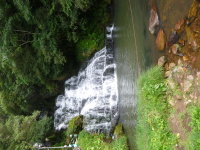 P1050038.jpg