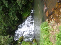P1050039.jpg