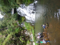 P1050040.jpg