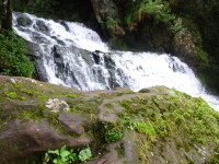 P1050041.jpg