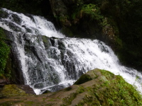 P1050042.jpg